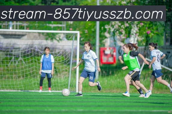 857体育赛事直播服务体系